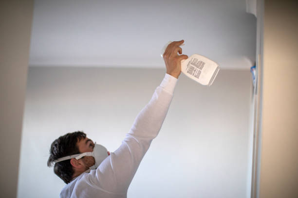 Certified Mold Removal in Monmouth, IL