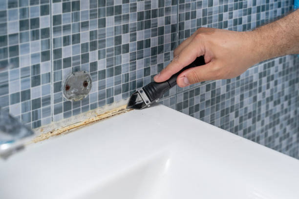 Best Emergency Mold Removal  in Monmouth, IL